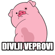 DVI emblem