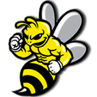 VOSY2 emblem