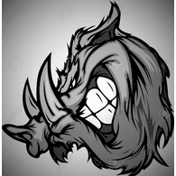 D-P-S emblem