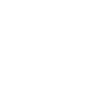 HEAT emblem