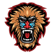 SKIL0 emblem