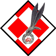 CICHY emblem