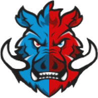 DZ1KI emblem