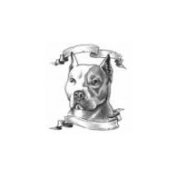 DGS1 emblem