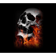 JEVER emblem