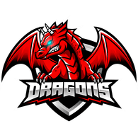 D_S-W emblem