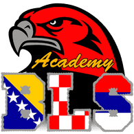 BLS-A emblem
