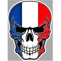LDDLM emblem