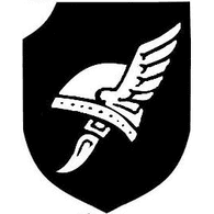 DIVN emblem