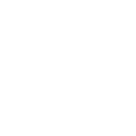 -WRS- emblem