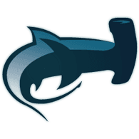 173RD emblem