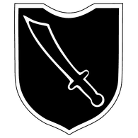 313TH emblem