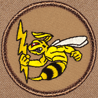 US20 emblem