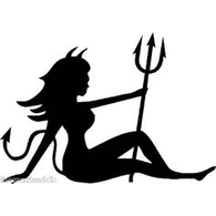 DVR emblem