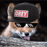 FOXYZ emblem