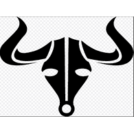 DYS emblem