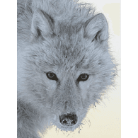 WITWO emblem