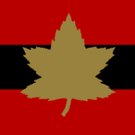 NFIDL emblem