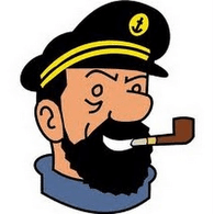 IDIOT emblem