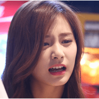 TWICE emblem