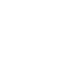 F-CAT emblem